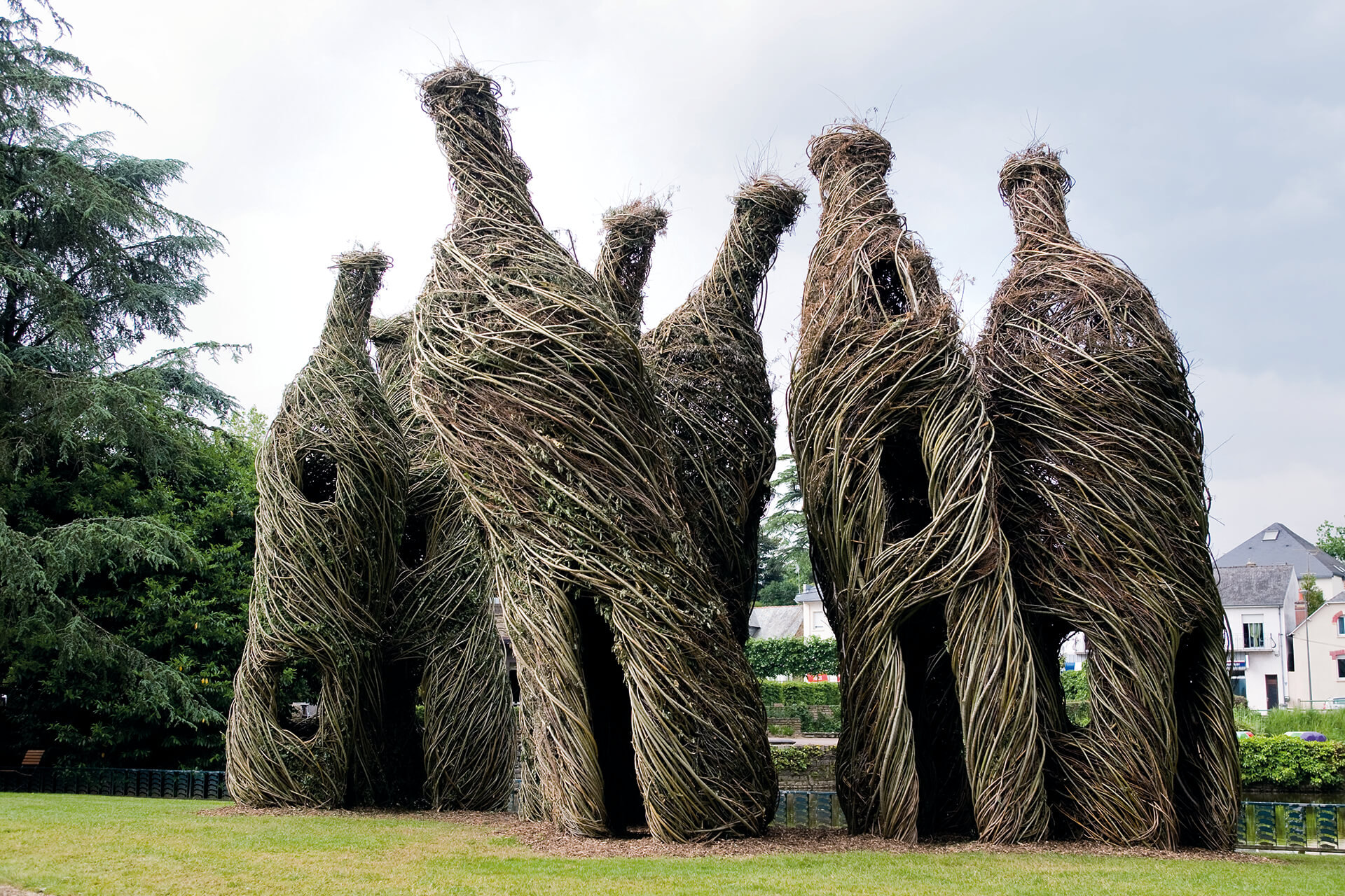 Tree Branch Sculpture