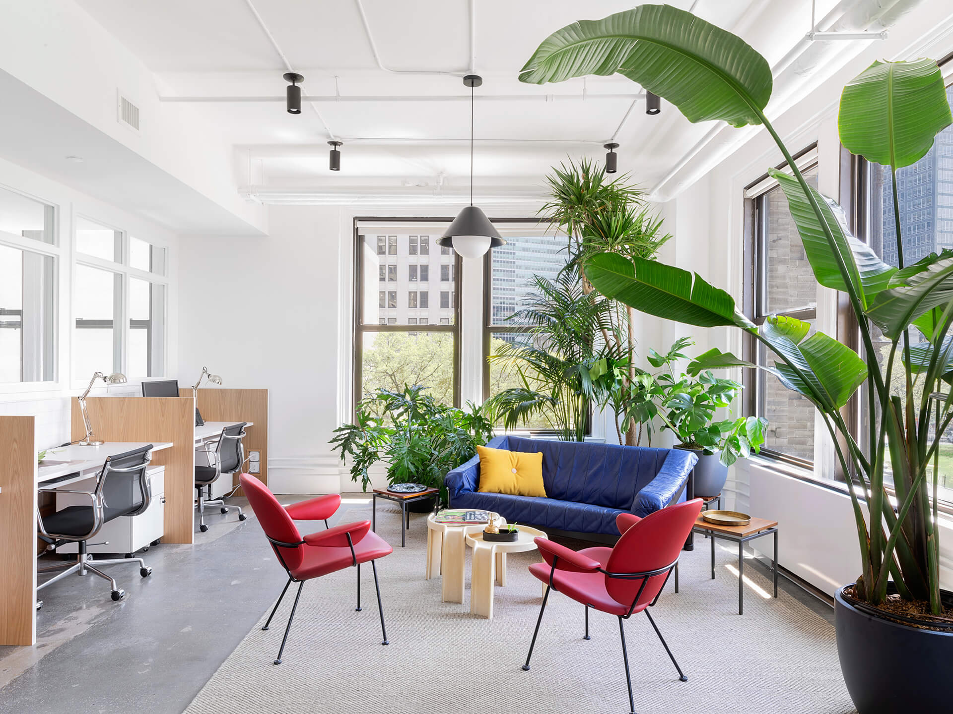 Frameweb  Agility, inclusivity and co-creation converge in this large New  York City office