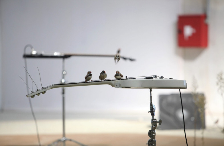 Frameweb | From Here to Ear Installation