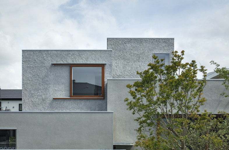 Towards the back, the grain becomes progressively coarser. - Kenta Hasegawa