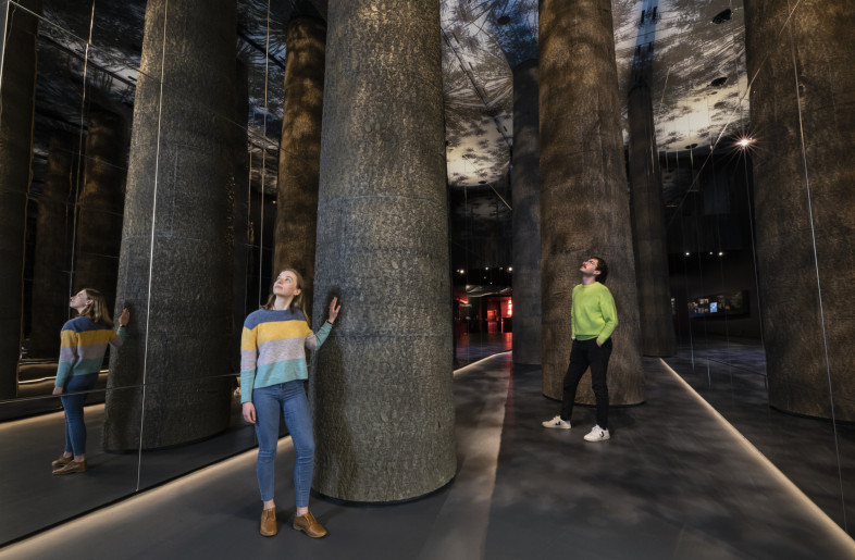 Infinity room Bunya tree intro exhibit - National Museum of Australia
