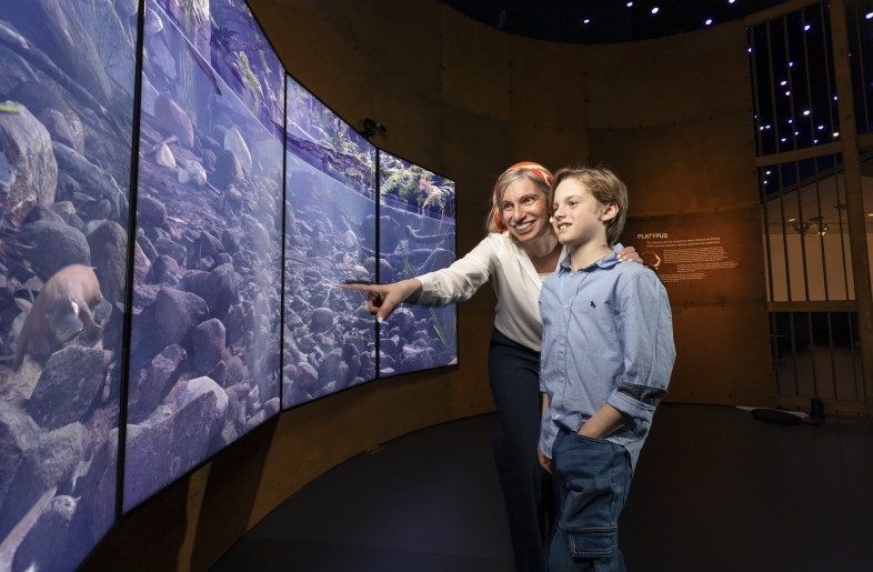 Interactive platypus exhibit - National Museum of Australia