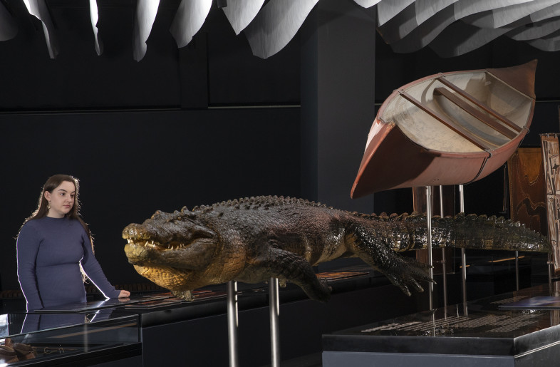 Eye-level crocodile model - National Museum of Australia