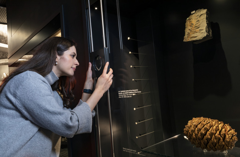 Magnifying glass for closer examination built into case - National Museum of Australia