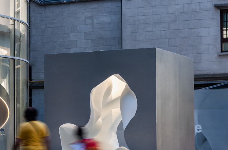 The juxtaposition of artificial and natural elements - Runzi Zhu