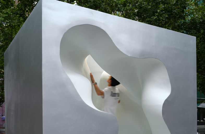 Contrast between linear geometry and organic form - Runzi Zhu