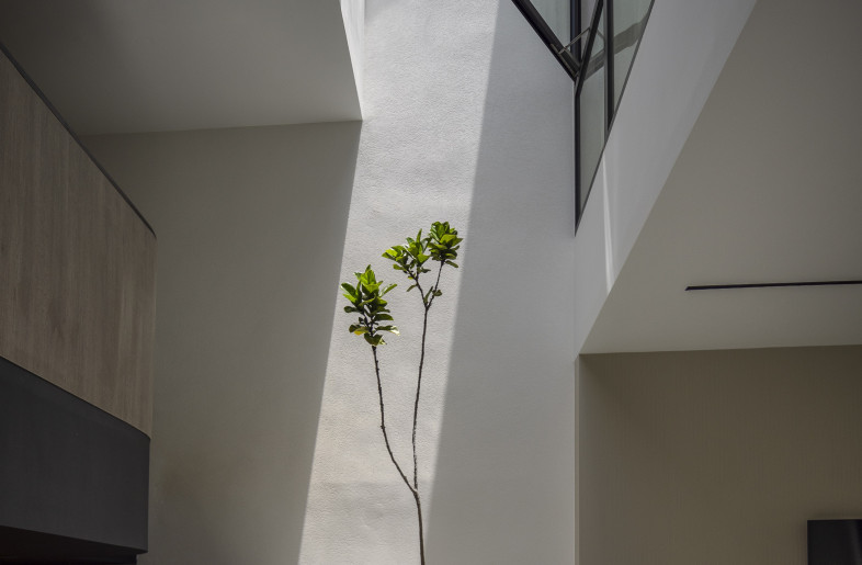 Skylit Atrium — glass windows in the master suite overlook the skylit atrium, enjoying the view of a potted 3m tall Ficus tree, while enjoying cross ventilation and indirect illumination from the sky-lit atrium. - Triston Yeo
