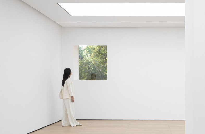 Dialogue - ©Su Shengliang