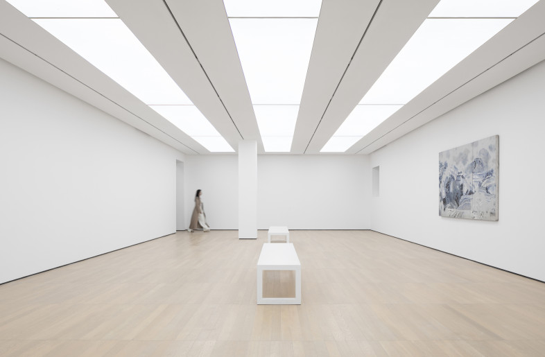 Main gallery - ©Su Shengliang