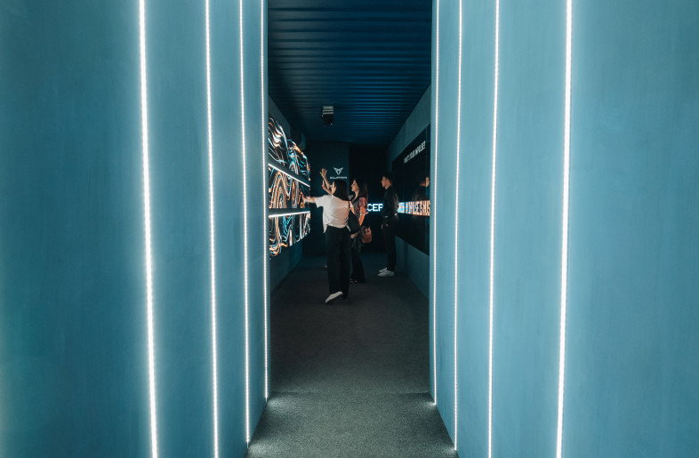 Entrance - Nicola Torrisi