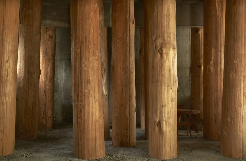 The ‘trees’ were originally planned as a grid, but their irregular and inconsistent shapes led the architect to place them in a more random manner, making the area feel more like a forest and less like a workspace. - Edmund Sumner