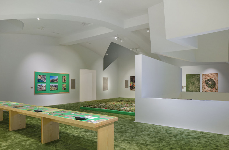 While illustrating key points in horticulture’s past, the exhibition also unveils the potential of developments happening now and those to come. - Ludger Paffrath
