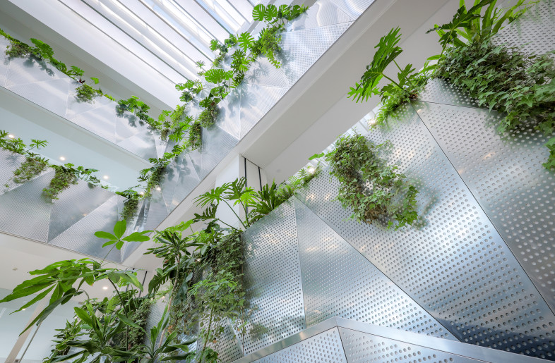 Plants Bed - Ning Wang