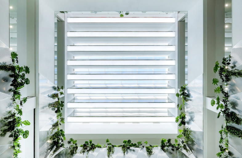 Skylight - Ning Wang