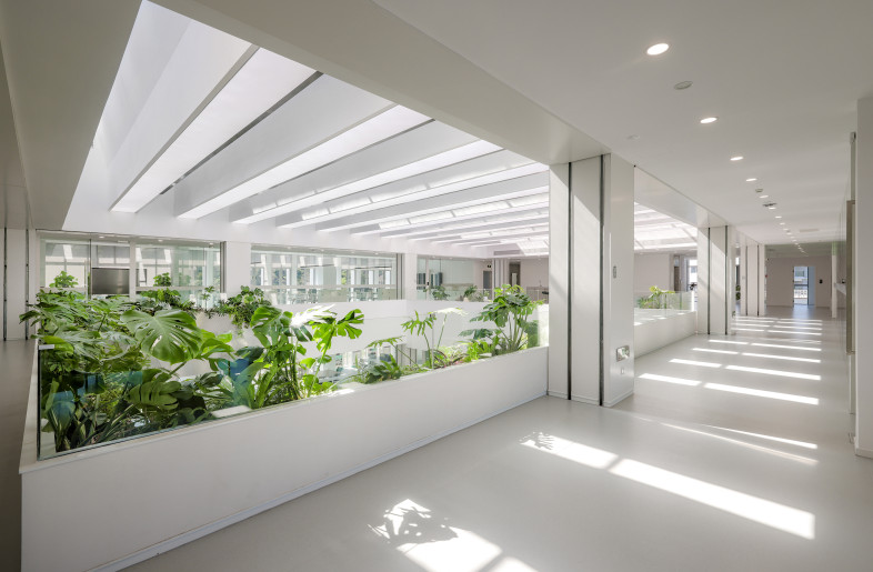 Plants Bed Handrall - Ning Wang