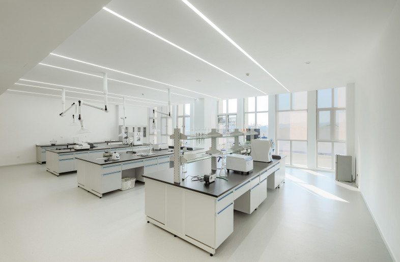 Laboratory - Ning Wang