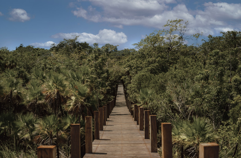 As visitors move from building to building in search for natural therapeutic experiences, massages or culinary adventures, they immerse themselves in the rich biodiversity present on-site. - César Béjar