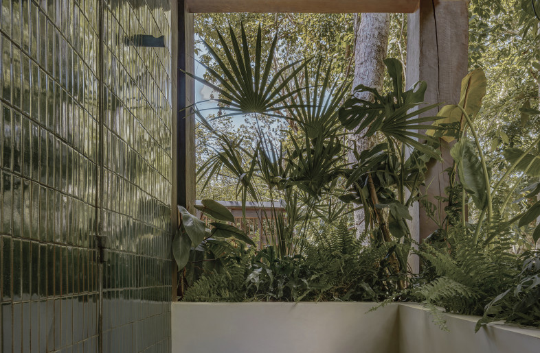 Escobedo’s design of Boca de Agua is not merely a response to the site – it initiates a spatial dialogue with the coastal rainforest. - César Béjar
