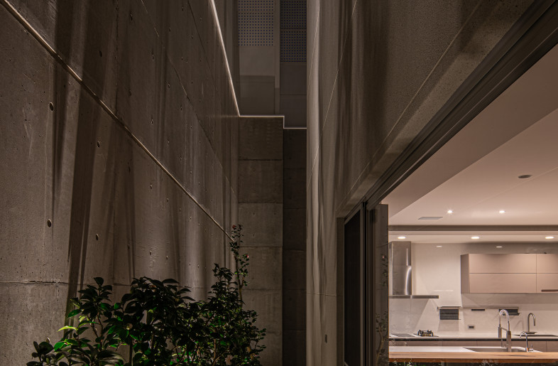 The specialized route connects the outside, the storage area, and the kitchen, featuring more camellia. - Dirk Heindoerfer Photography