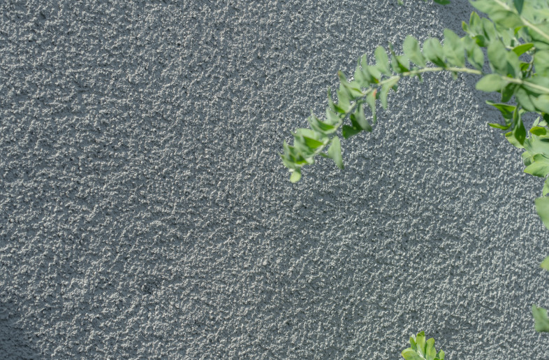 Shirasu Wall ,a material of volcanic ash.It has the ability to regulate moisture. - ToLoLo studio