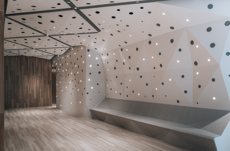 Walls evoking the light piercing through the needles of pine trees - Eric Ho
