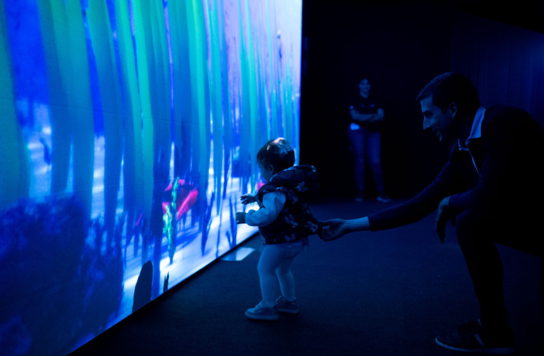 Interacting with the seagrass meadows - Tellart