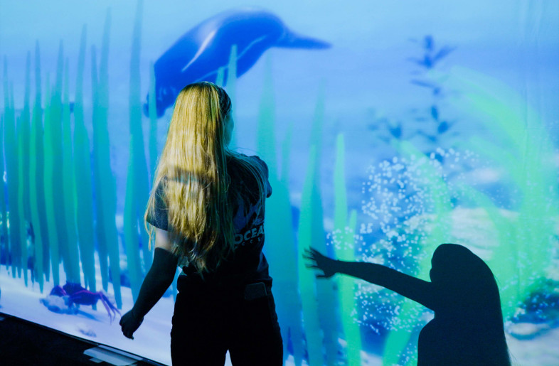 Interacting with the seagrass meadows - Tellart