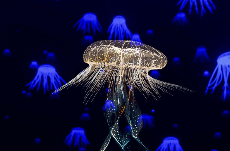 Detail of animation: Jellyfish - Tellart