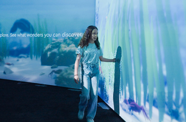 Interacting with the seagrass meadows - Tellart
