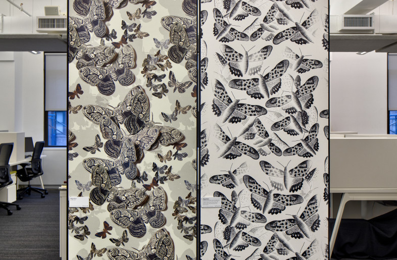 Migration - James Shanks
