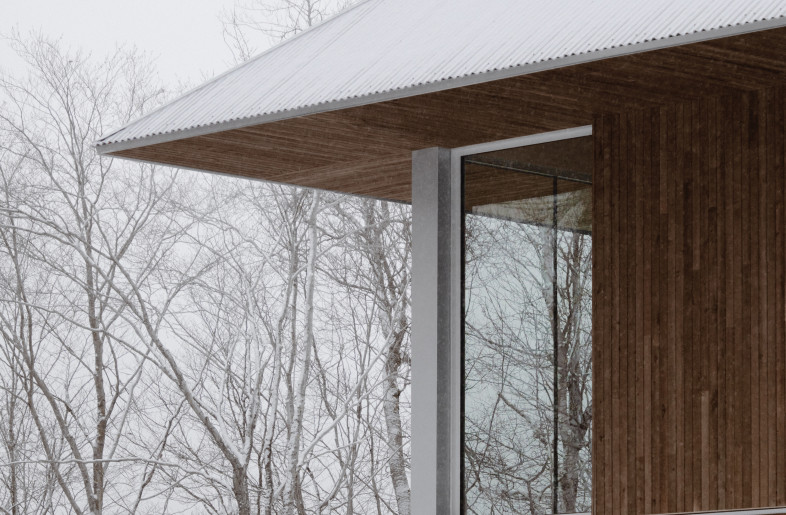 Living room corner window - Alex Lesage