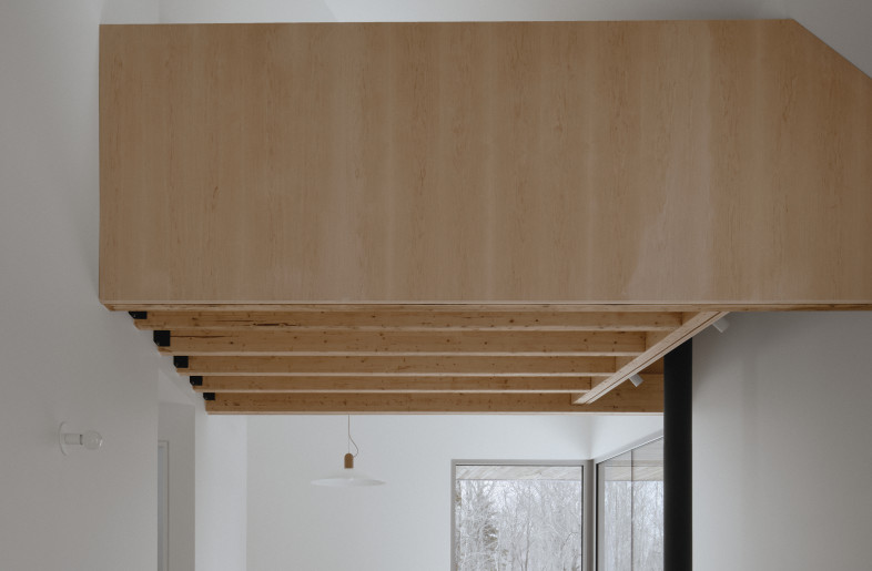 The living room and mezzanine - Alex Lesage