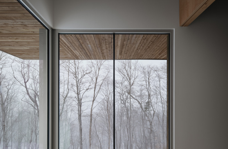 Looking out of the living room corner window - Alex Lesage