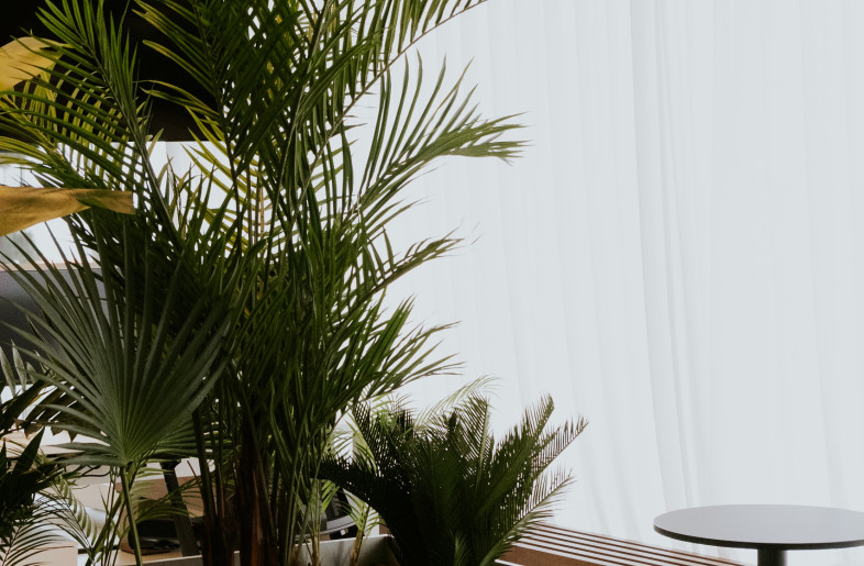 Desk-side chats can disrupt everyone’s focus. Adding small breakout areas for quick meetings keeps workspaces calm and brings variety to the office layout, making it more than just rows of desks. - FLORE DE WACHTER