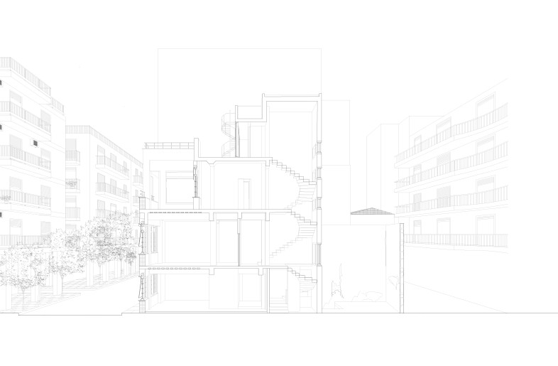 Perspective section