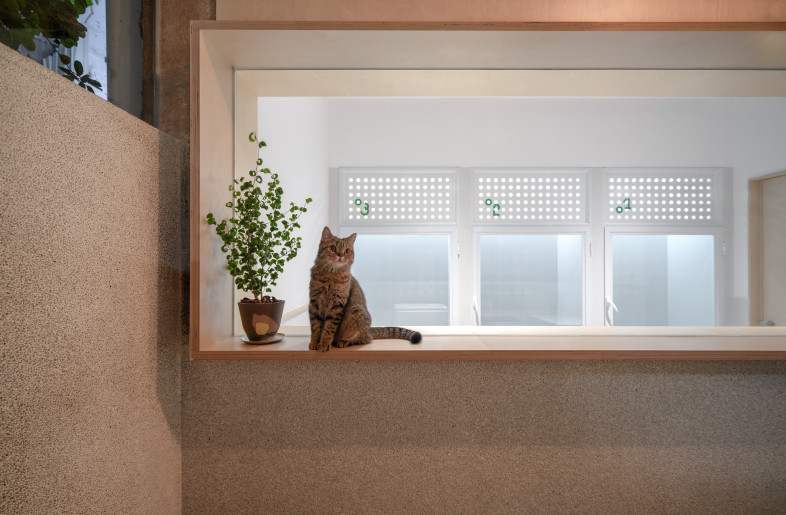 Bright, natural spaces, a naturally mottled atmosphere, and friendly functional design blend together to create a wonderful spatial experience. - @Chao Zhang