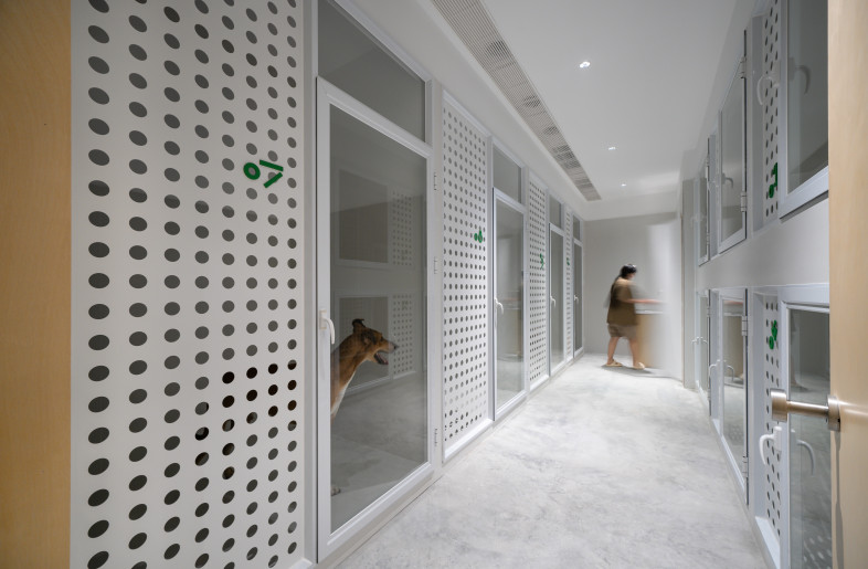 The bright and spacious "Pet Hotel" is a small world dedicated to pets. - @Chao Zhang