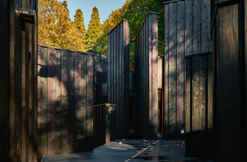 The alley-like space surrounded by walls adds depth to the forest view. - Akinobu KAWABE