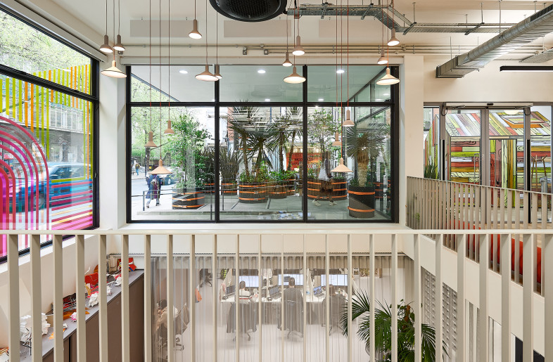 Ground floor view of the lower ground workspace and Wild garden - Ruth Ward