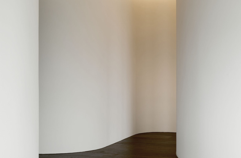 Rational Curves  - Hallway - Alec Bruce-Mason