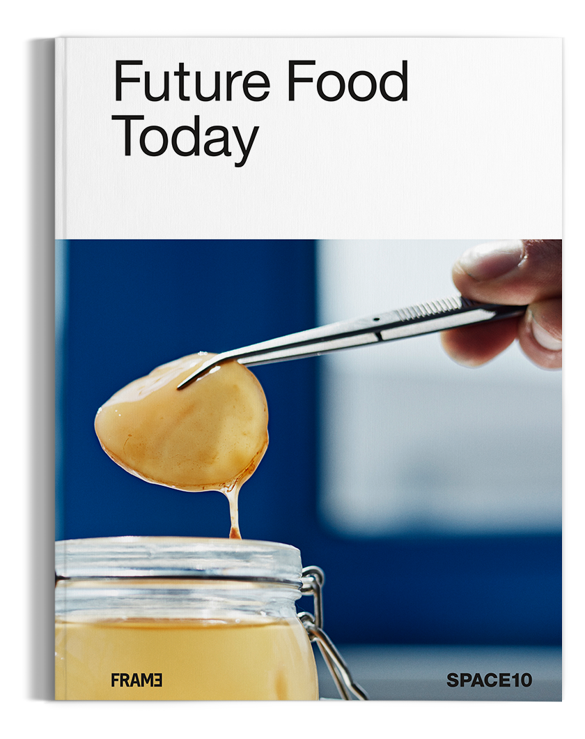 洋書 Where They Create Amazon | Where They Create | Onderwater, Alexandra, Barbera