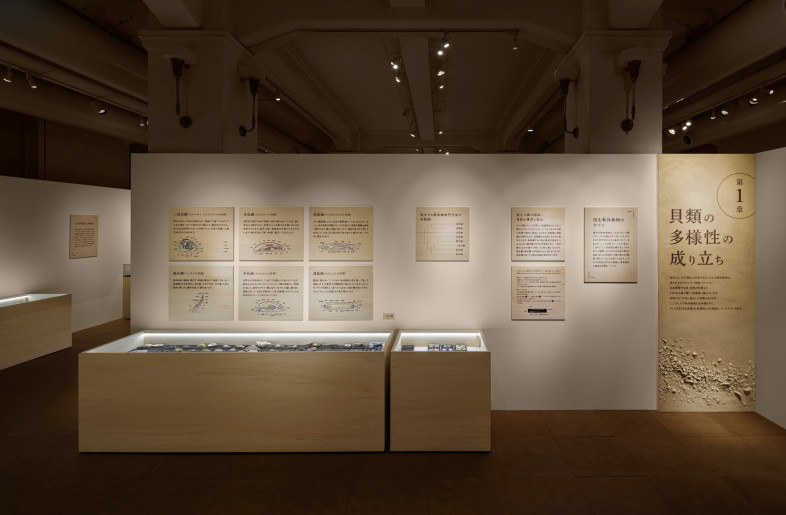 Special Exhibition Room. The chapter sign on the far right is finished to resemble a shell mound, intuitively expressing the connection between people and shells. - Akira Arai（Nacása & Partners Inc.）