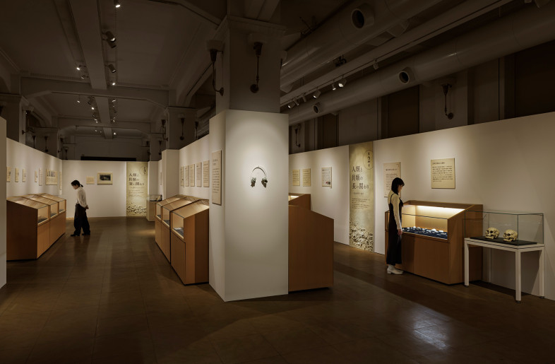 Special Exhibition Room. - Akira Arai（Nacása & Partners Inc.）