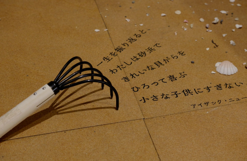 Quote about shells: When I look back upon my life, I have been nothing but a little child playing on the seashore, delighted with finding a prettier shell than ordinary. — Isaac Newton - Ponsuke Kojima(Saturation Inc.)