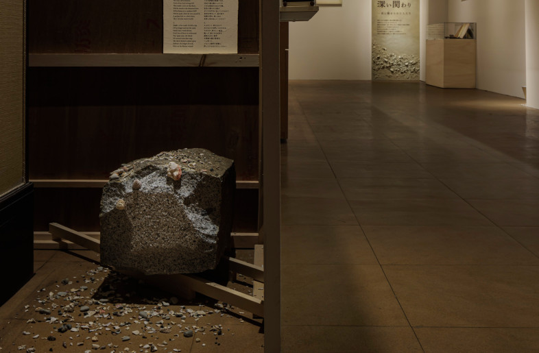 The back side of the exhibition wall is intentionally exposed in some areas, allowing visitors to notice the use of rental panels. Moreover, small “Shell Tales” are hidden there—not just to reveal the back, but to playfully connect the unseen side to the larger exhibition narrative. - Akira Arai（Nacása & Partners Inc.）