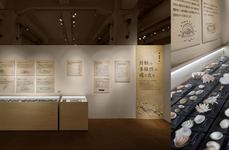 To reduce construction waste, the newly created fixtures are made of reusable plywood and are designed for disassembly and reuse by assembling them with screws and tackers, without using adhesives. The boards placed under the shells are also assembled without adhesives. - Akira Arai（Nacása & Partners Inc.）