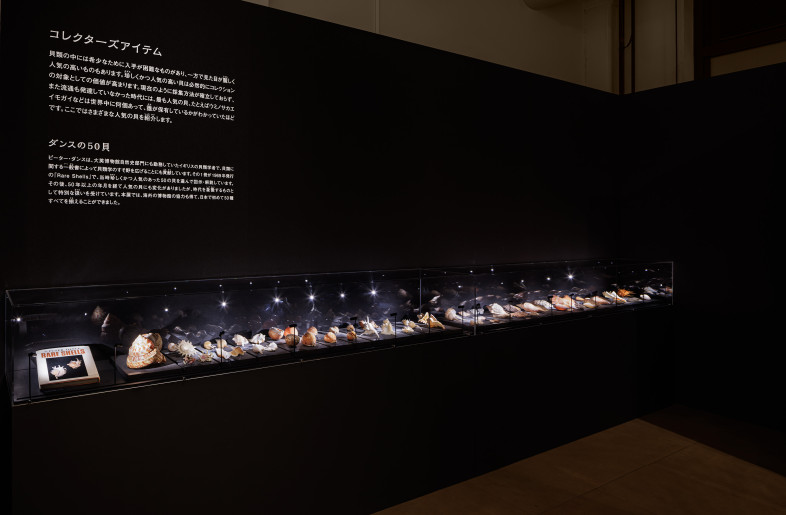 Exhibition of 50 Peter Dance selections. - Akira Arai（Nacása & Partners Inc.）