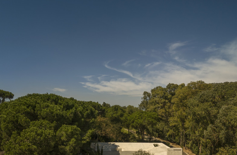 Aerial view - Fernando Guerra