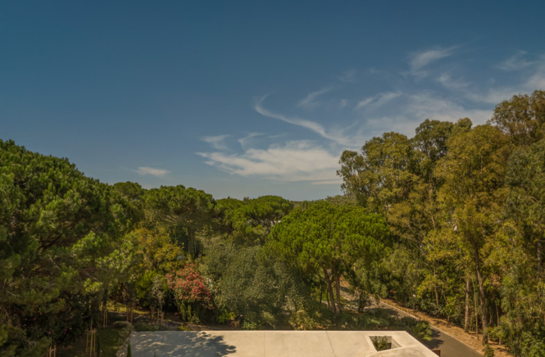 Aerial view - Fernando Guerra