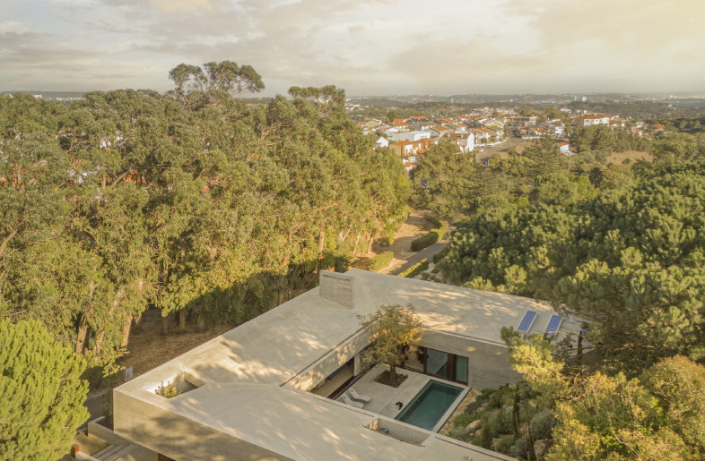 Aerial view - Fernando Guerra